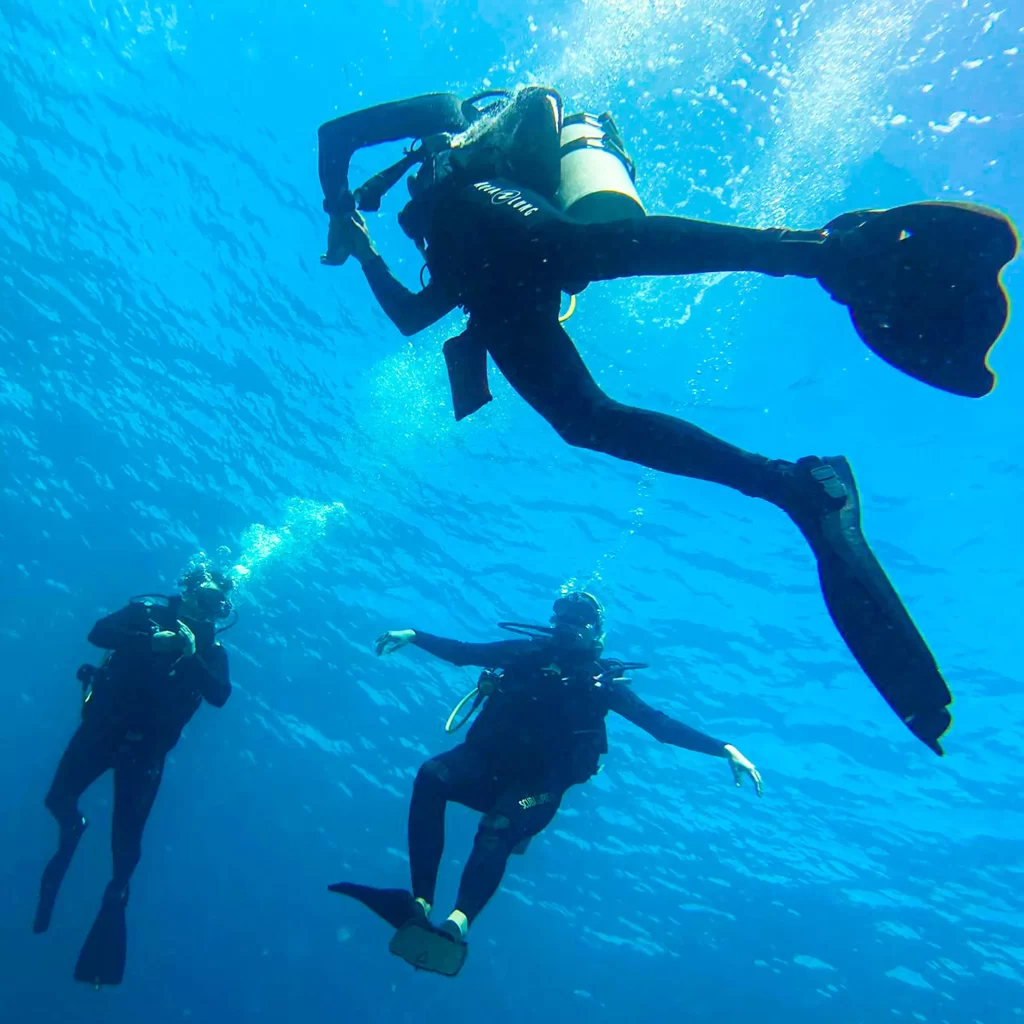 Buceo en el mar caribe, personas explorando el arrecife de puerto morelos
