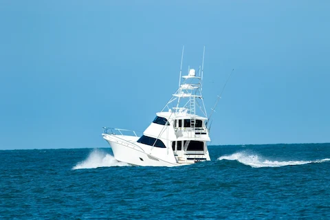 pesca en puerto morelos