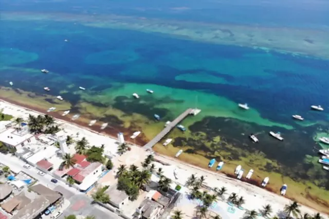 Costa de la riviera maya en la peninsula de Yucatan