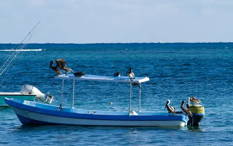 pesca deportiva puerto morelos