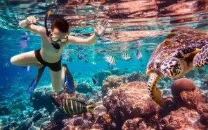snorkel
