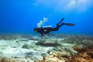 centro de buceo king scuba dive center