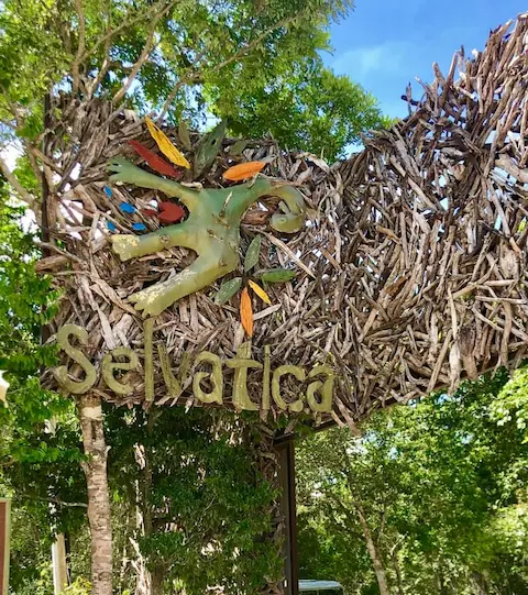 entrada del parque selvatica
