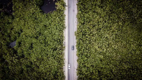 Ruta de los Cenotes en Puerto Morelos