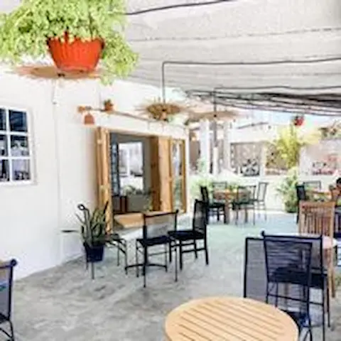 cafeteria en puerto morelos