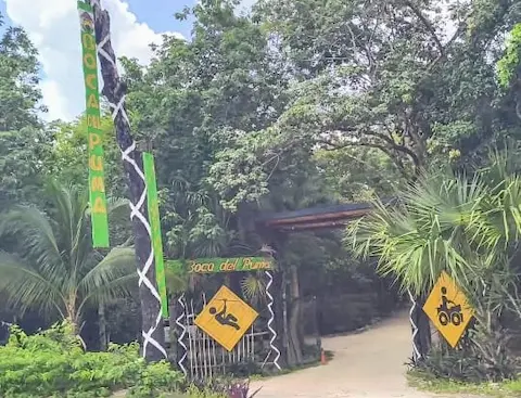 cenote boca del puma