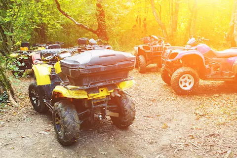 ATVs puerto morelos