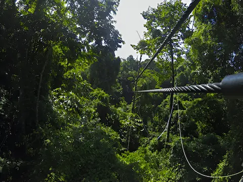zip line