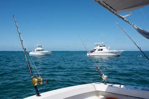 torneo de pesca puerto morelos